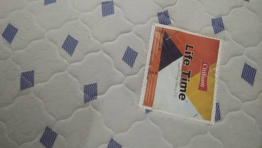 Citifoam six inches