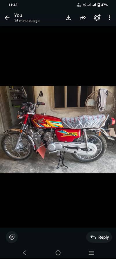 125 new belkul new
