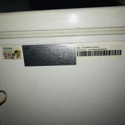 Haier D Freezer