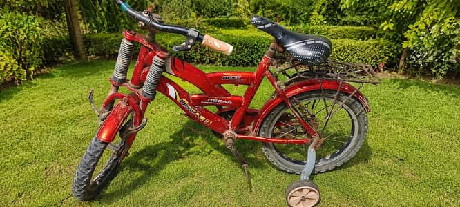 bicycle china made