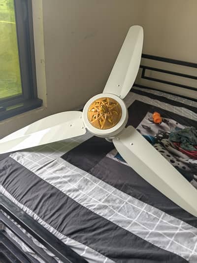 AC DC invetercondition 10 day used al madinah fans with remote control