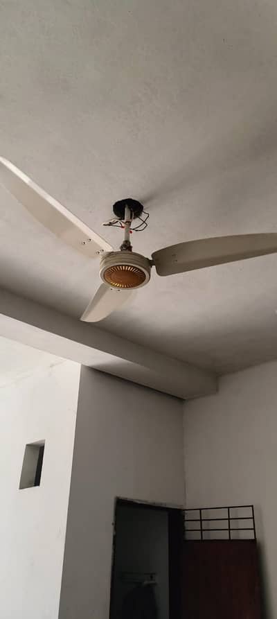 pure copper royal fan working 100 percent