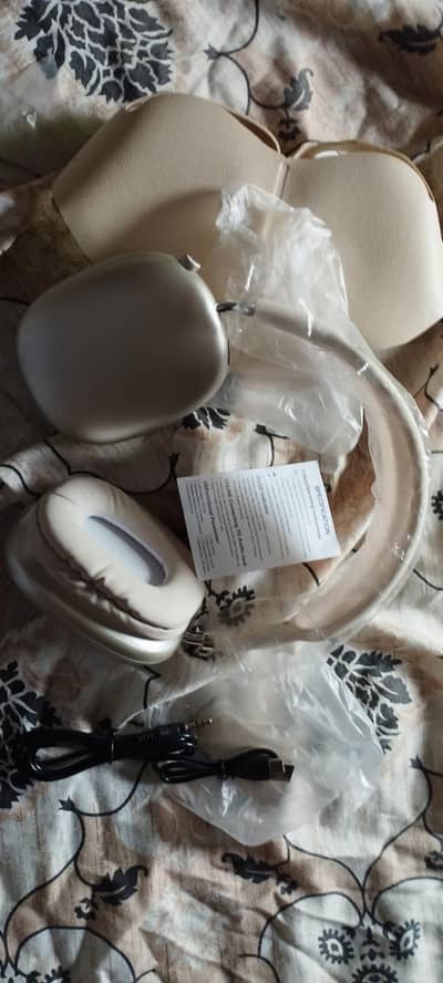 Apple Head phones