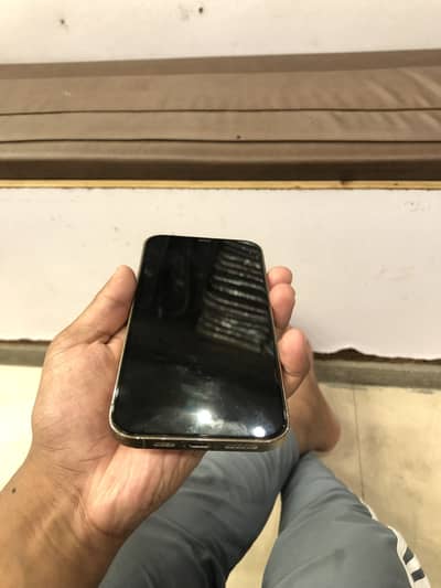 Apple iPhone 12 Pro Max