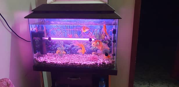 Aquarium