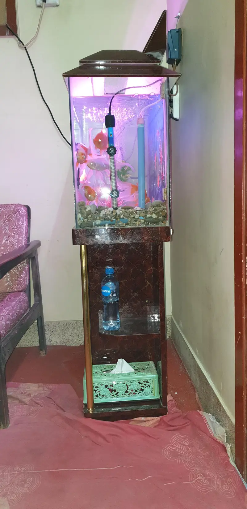 Aquarium — photo 2
