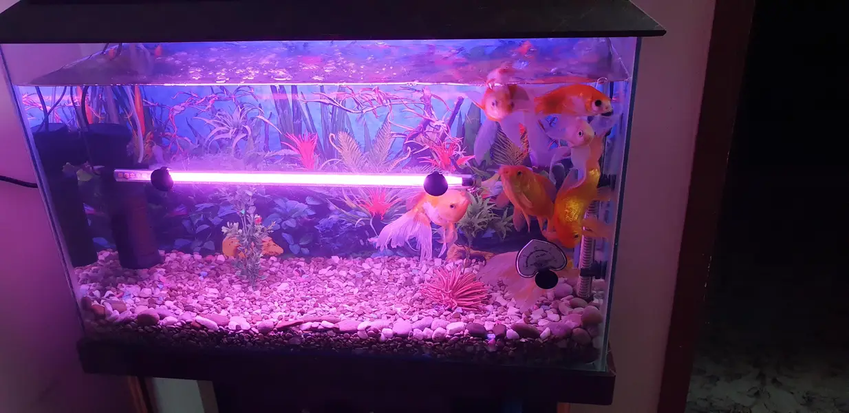 Aquarium — photo 3