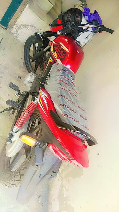 new shap 2025