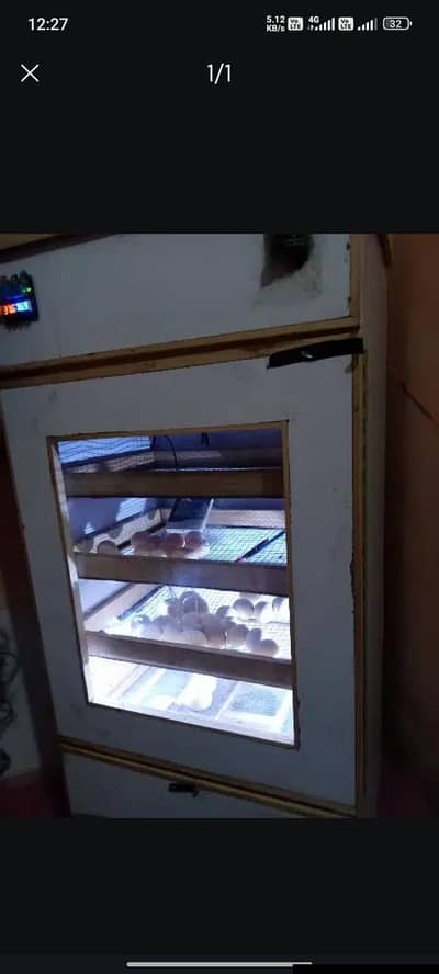 incubator available for sale