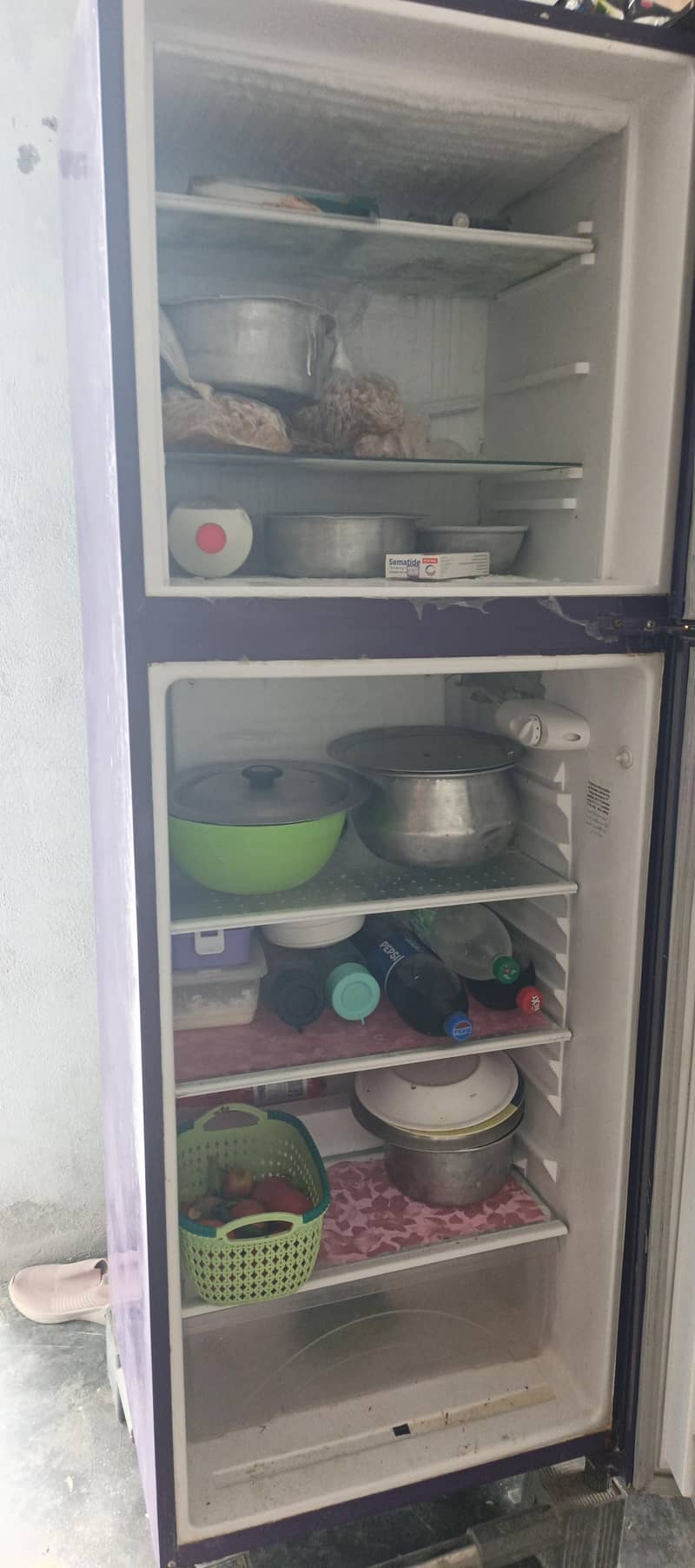 fridge 1
