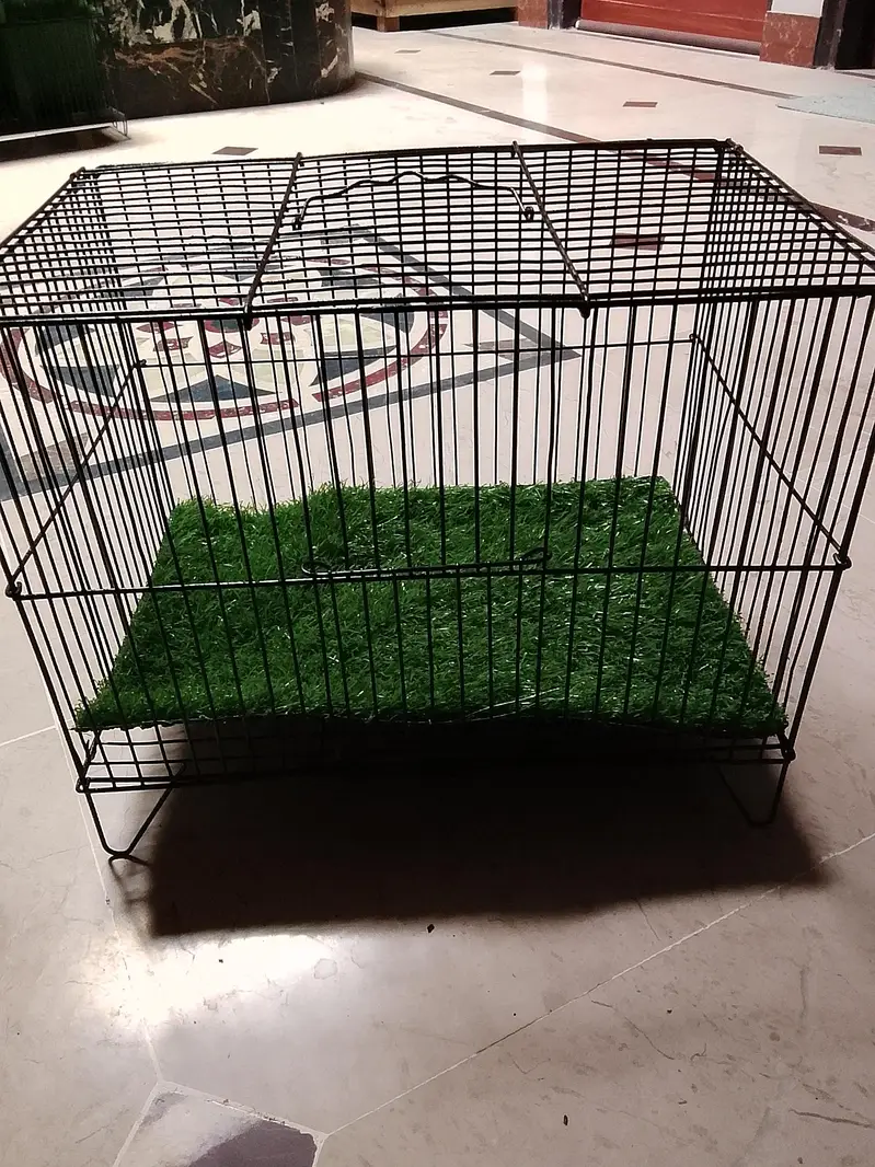traveling cage available hai all size — photo 5