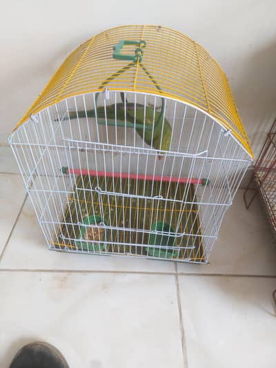 for sale