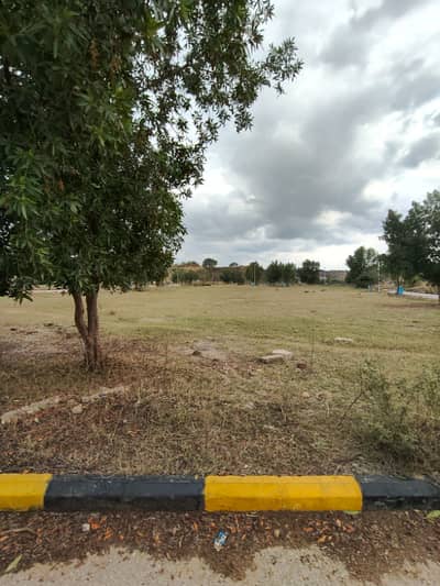 Plot File Available For Sale In DHA Phase 7