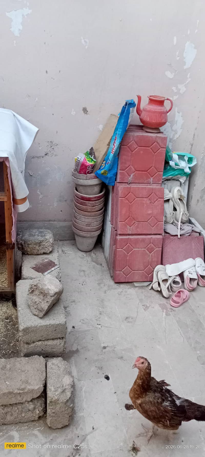 20pots cemented 2