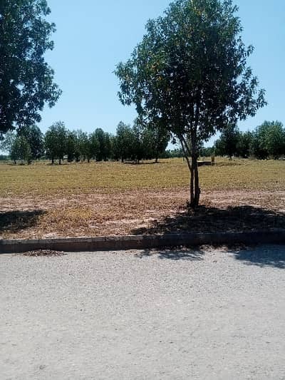 Residential Plot Available For Sale In DHA Valley