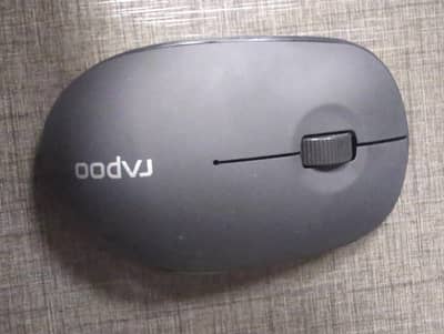 Mouse