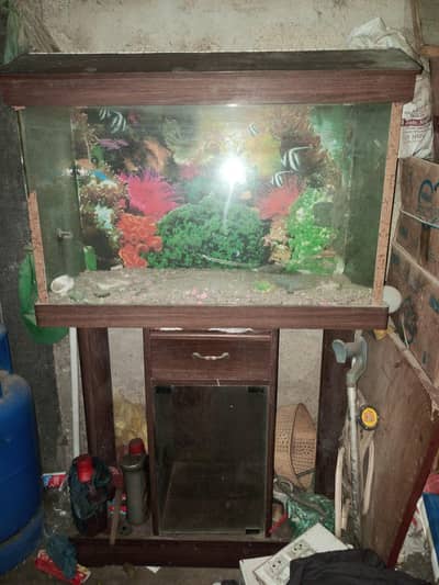 aquarium