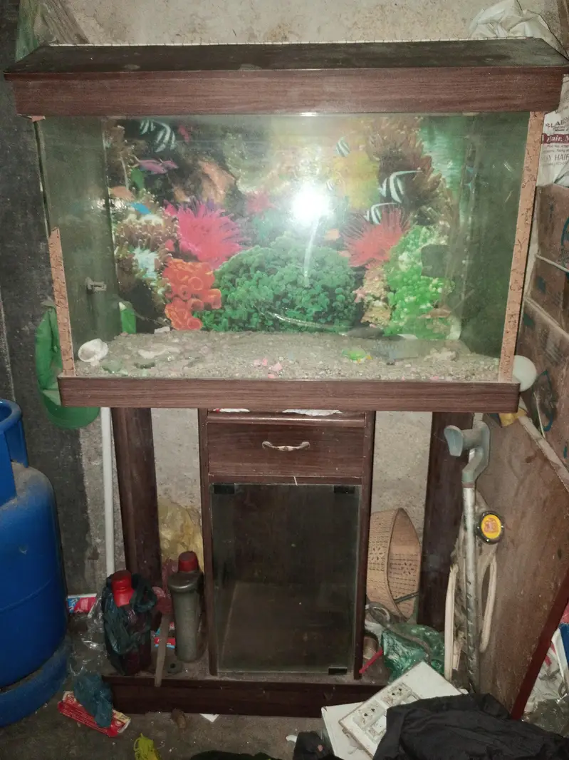 aquarium — photo 2