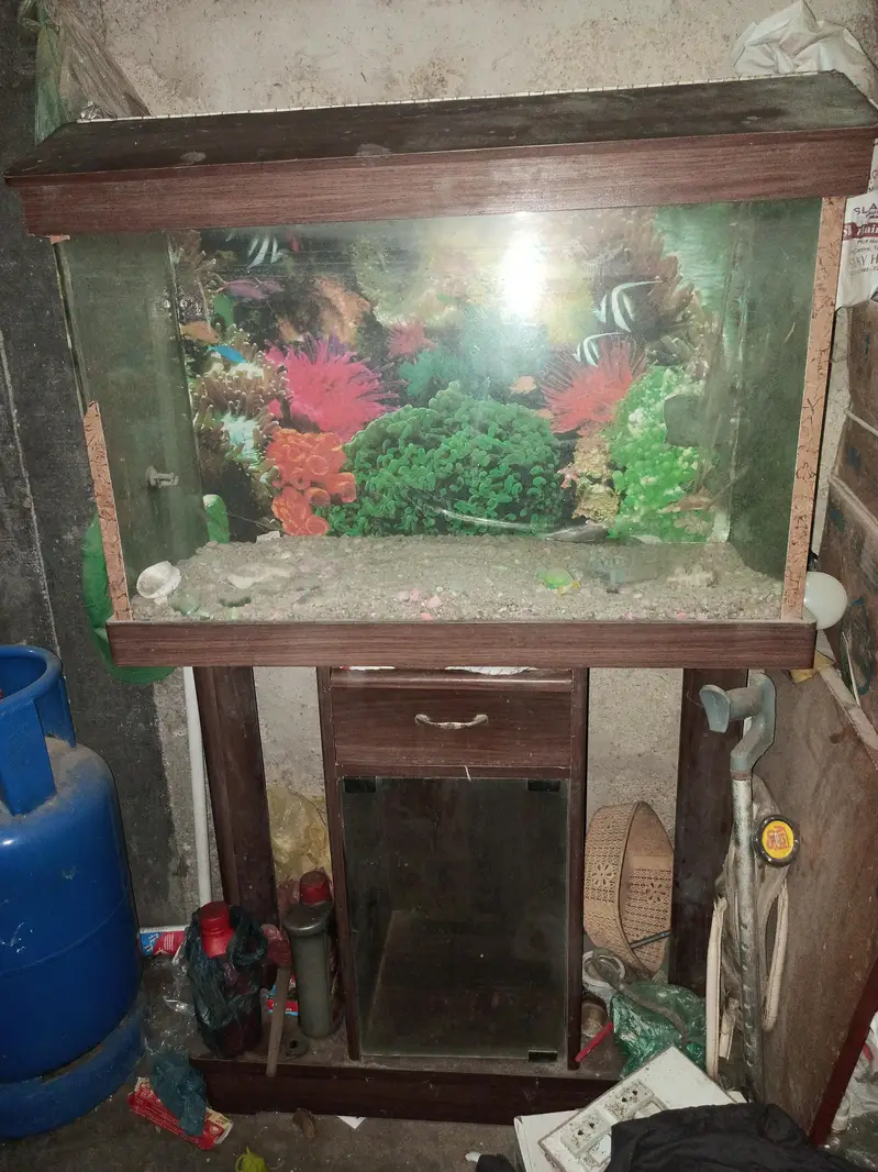 aquarium — photo 3
