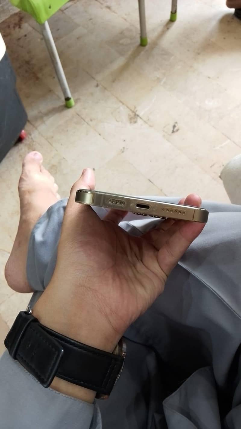 Apple iPhone 13 Pro Max 1