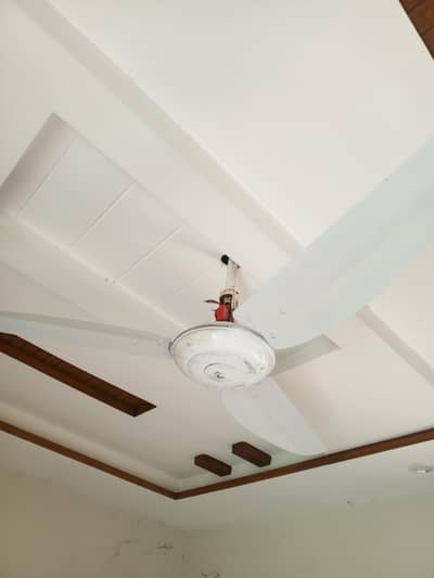ceiling Fans for sale