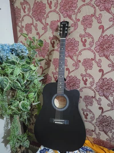 Washburn Acoustic Guitar – Like New | Complete Package