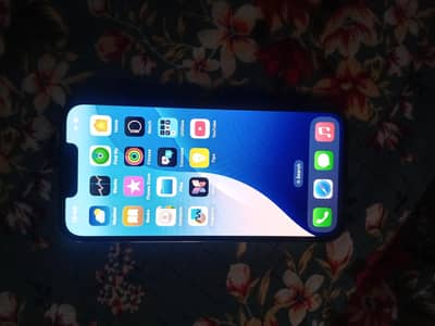 Apple iPhone 13 Pro