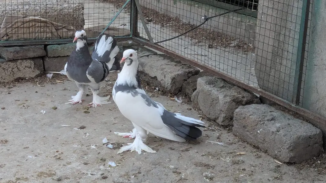 Munasub rate me — photo 7