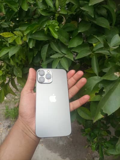 Apple iPhone 13 Pro Max