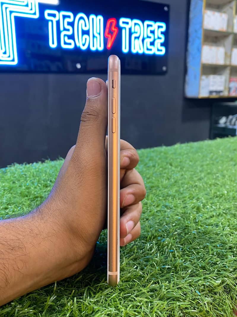 Apple iPhone 8 Plus 6