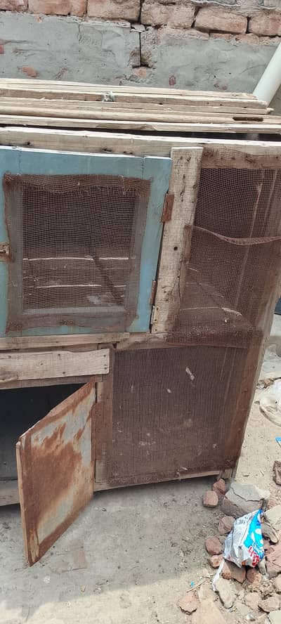 Wood Cage Double story and Aseel Murgi
