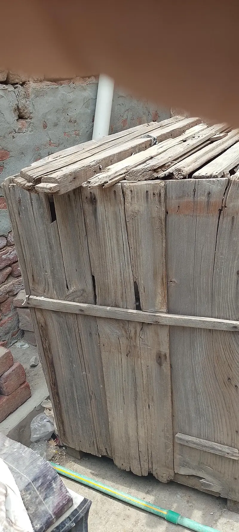 Wood Cage Double story and Aseel Murgi — photo 2