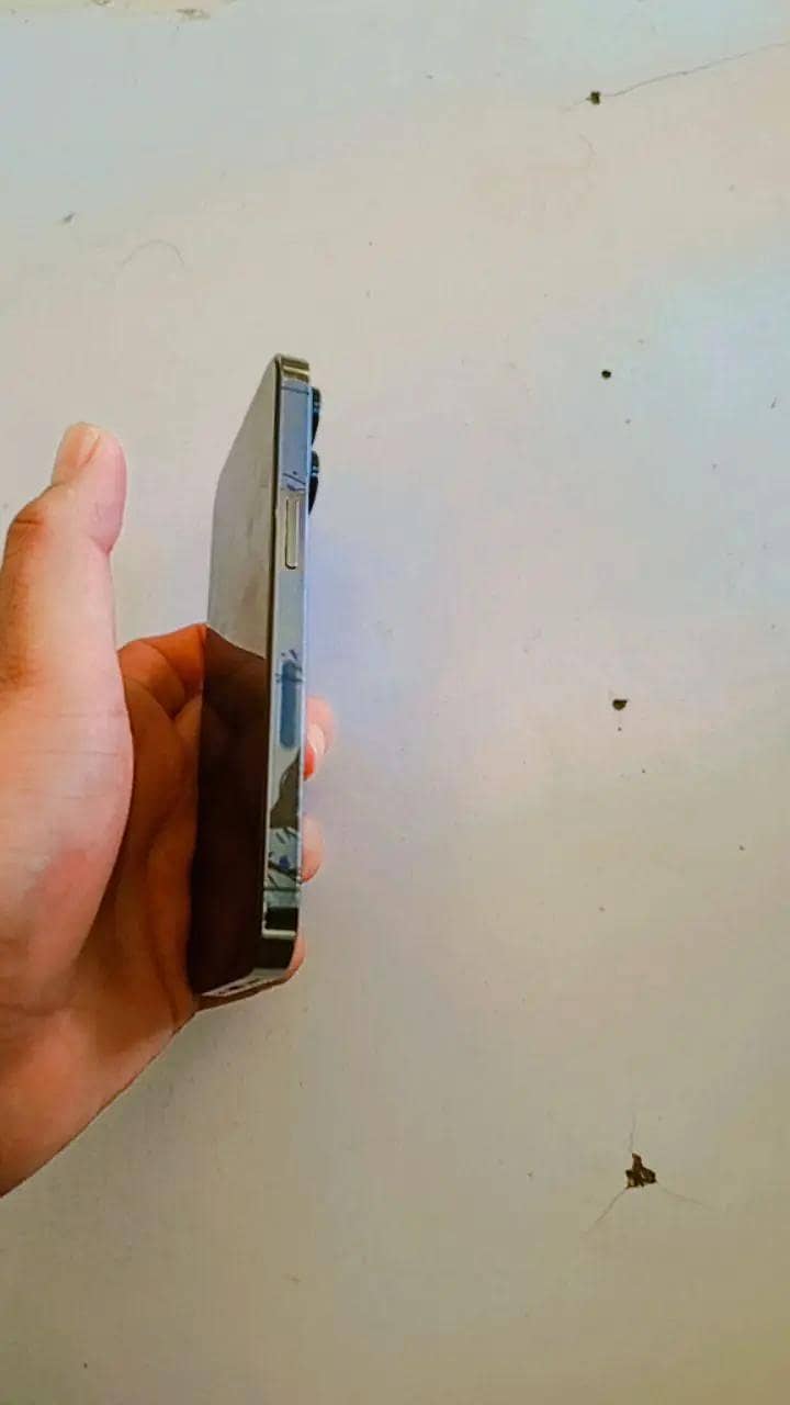Apple iPhone 13 Pro 1