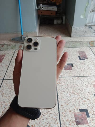 Apple iPhone 12 Pro Max