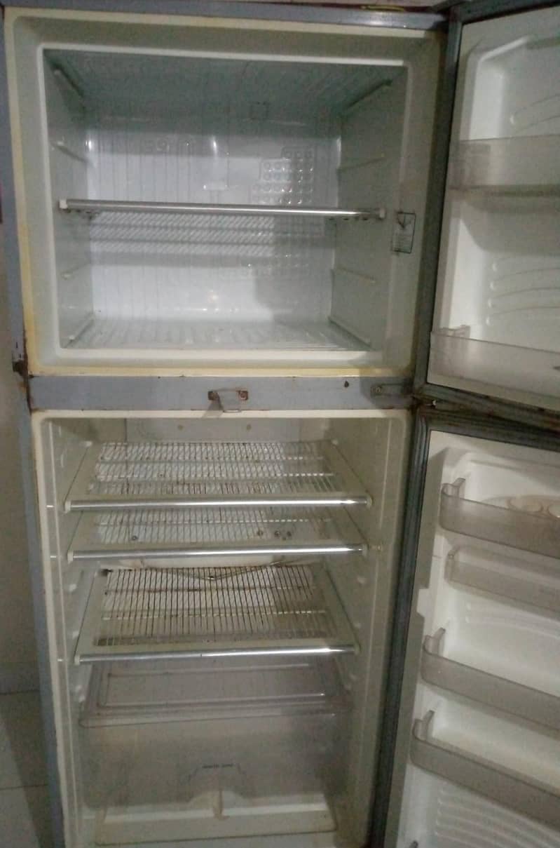 jumboo fridge 1