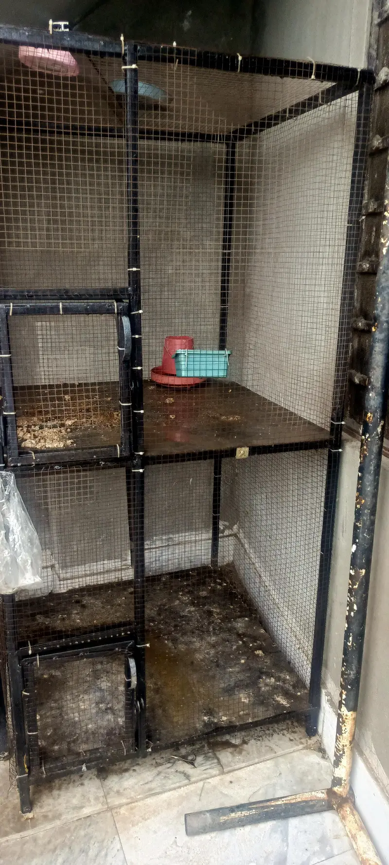 4 iron cages for sale — photo 3