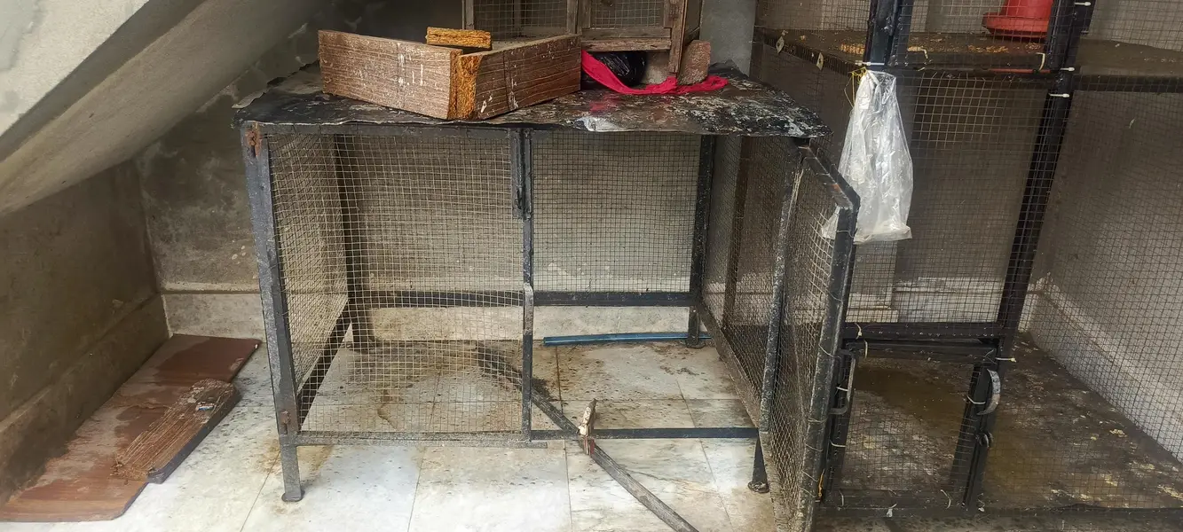 4 iron cages for sale — photo 4