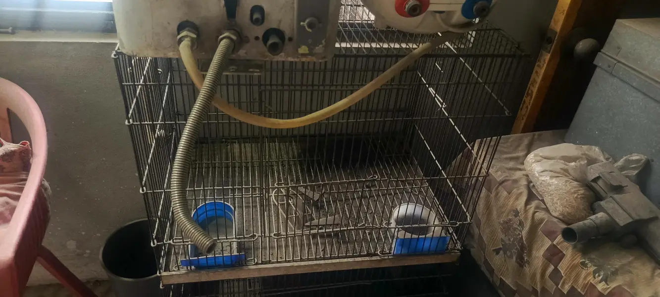 4 iron cages for sale — photo 5