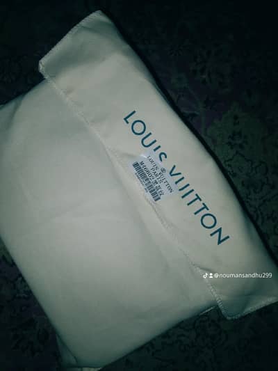 Louis Vuitton original bag