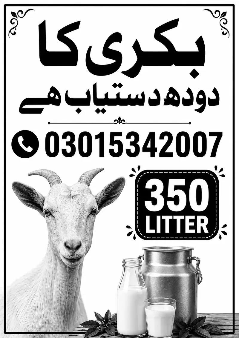 Bakri Ka Dodh : Goat milk — photo 2