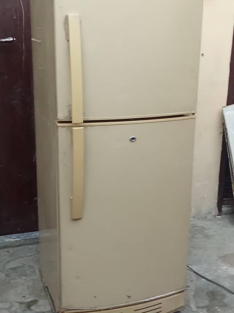 fridge 6