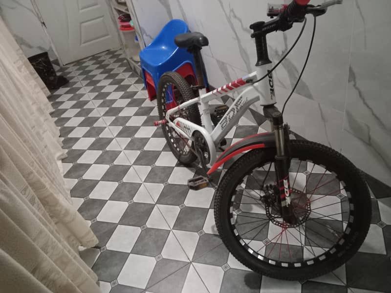 BDF cylce 1