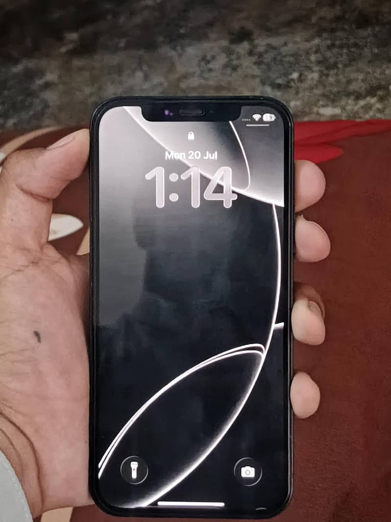 Apple iPhone 12 1