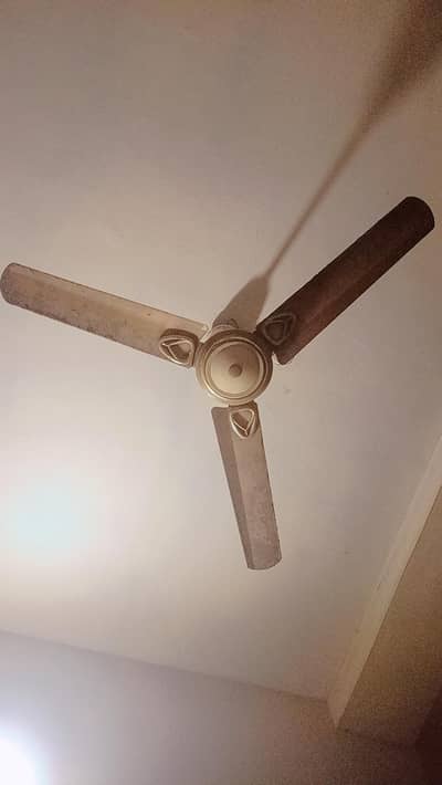 ceiling fan for sale 5000
