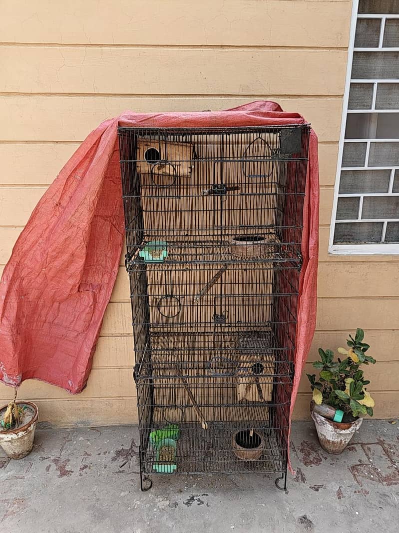 Cages 0