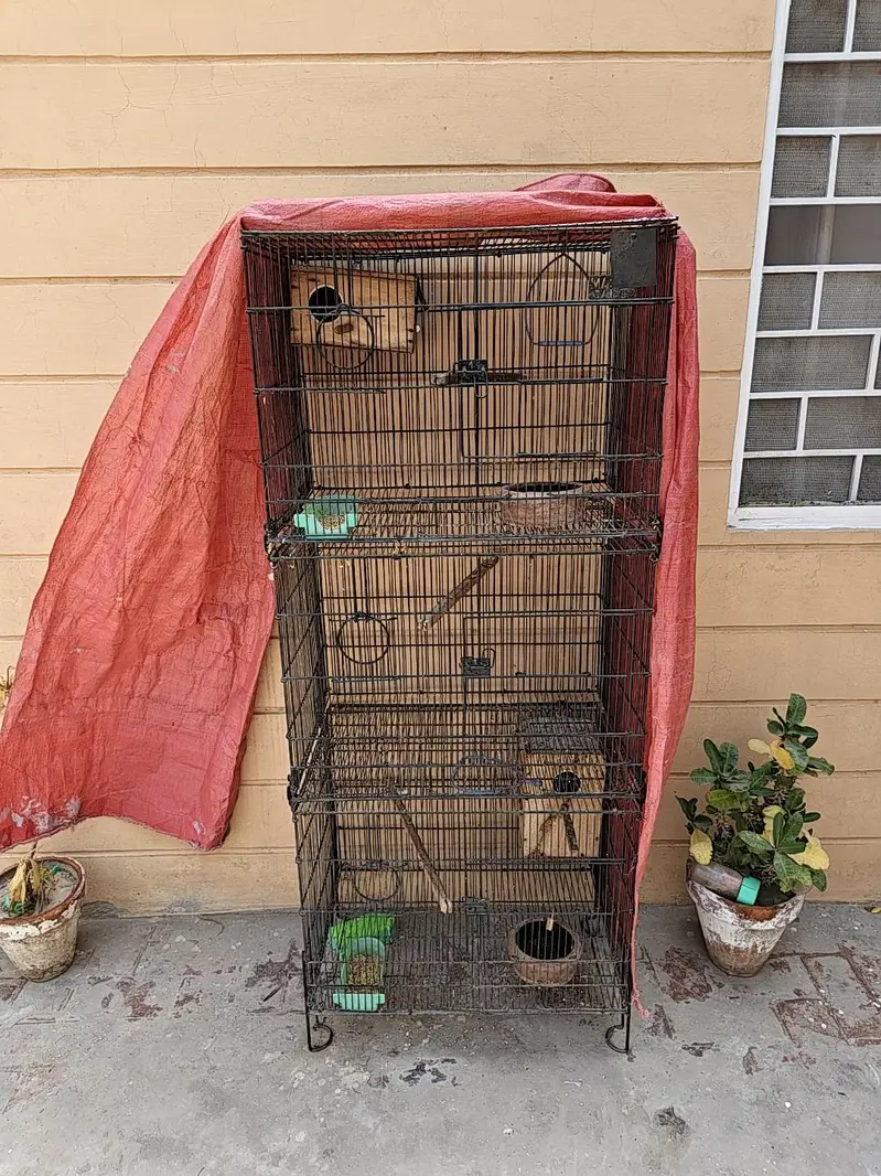 Cages — photo 2