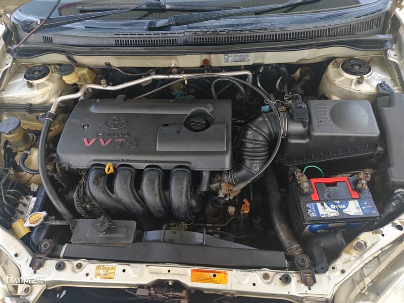 2005 model Altis 13