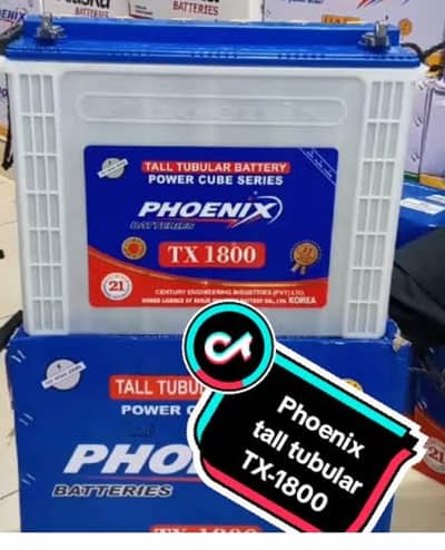 2 Tall Tubalar Batteries for sale