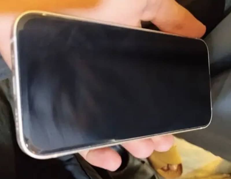 Apple iPhone 13 0