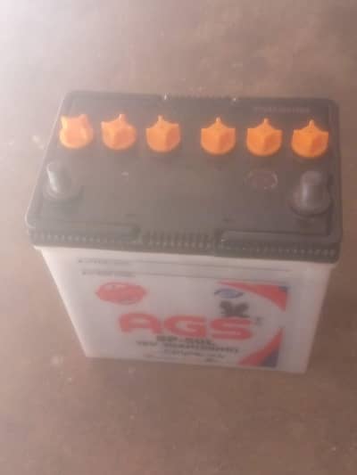 AGS 50 Ampere battery and sitek charger